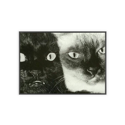 Meow - Framed Poster