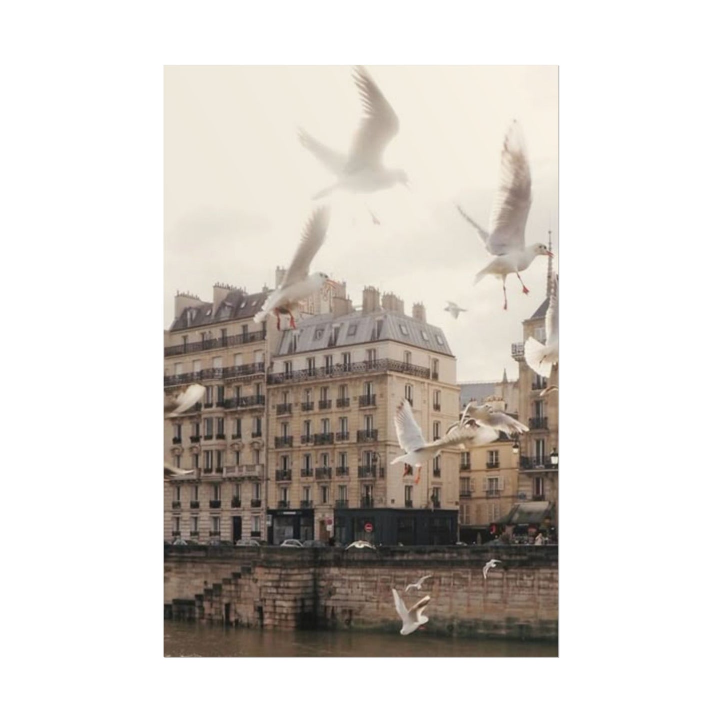Paris - Poster