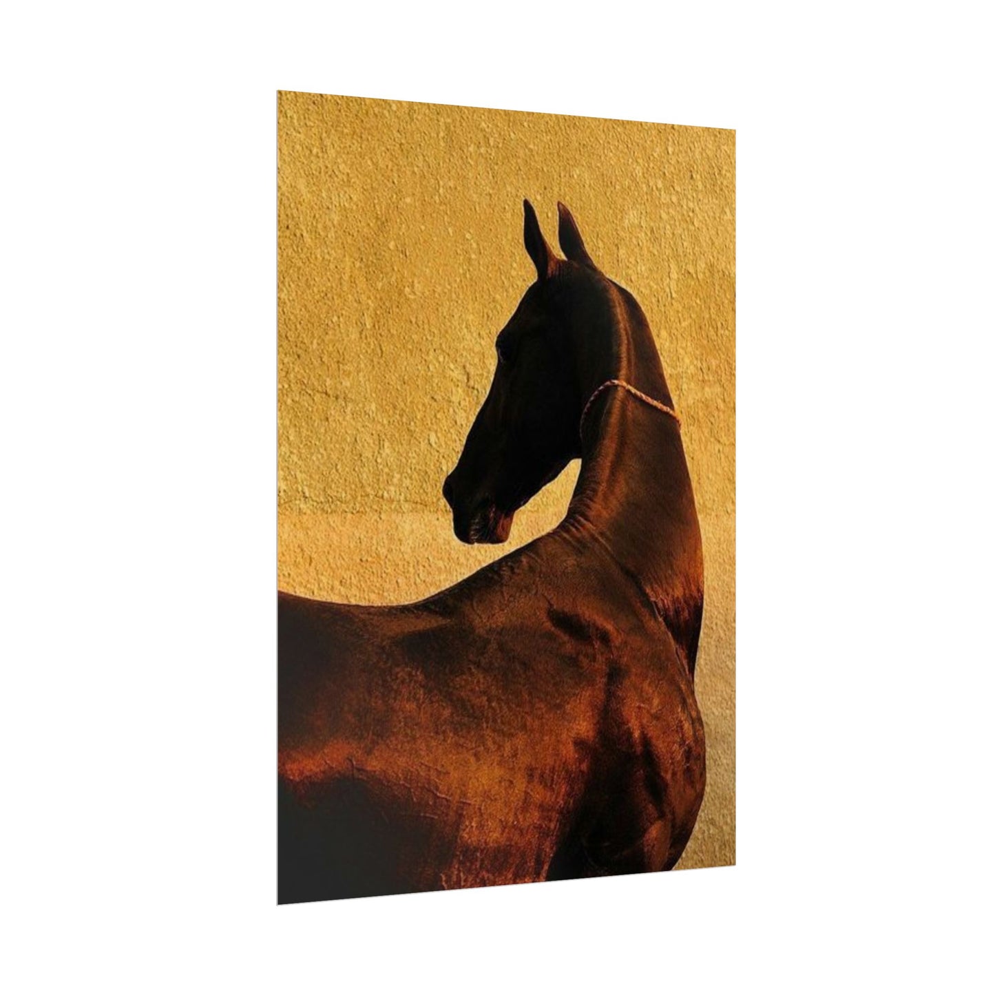 Golden Horse - Poster