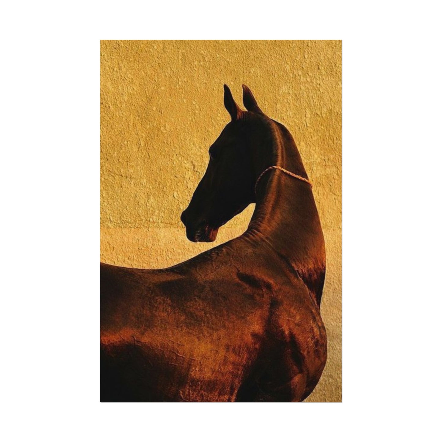 Golden Horse - Poster