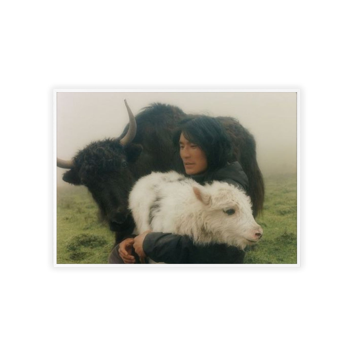 Goat - Framed Poster