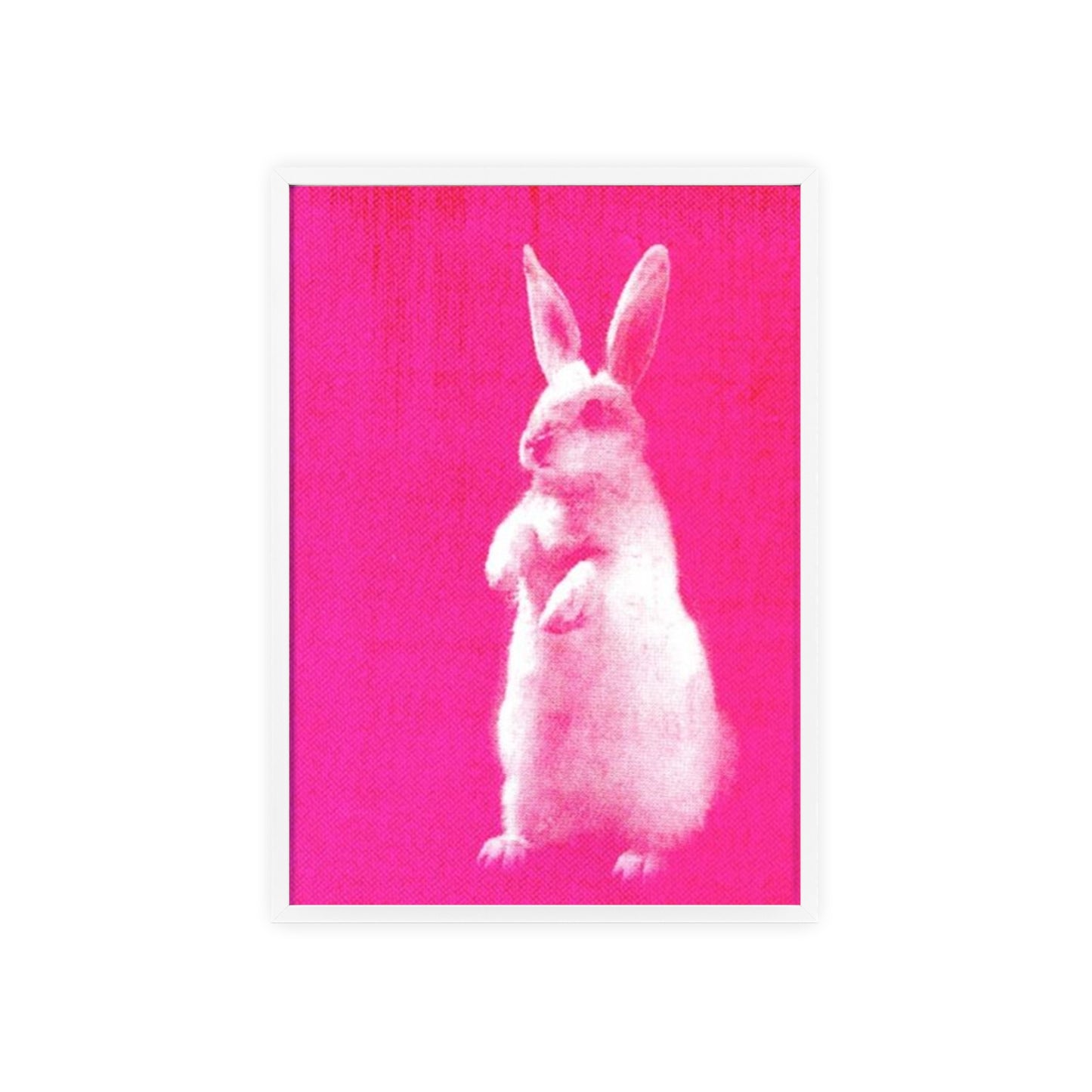 Rabbit - Framed Poster