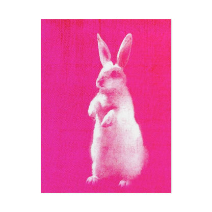 Rabbit - Poster