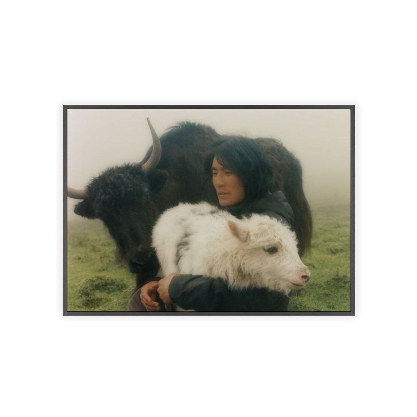 Goat - Framed Poster