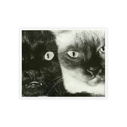 Meow - Framed Poster