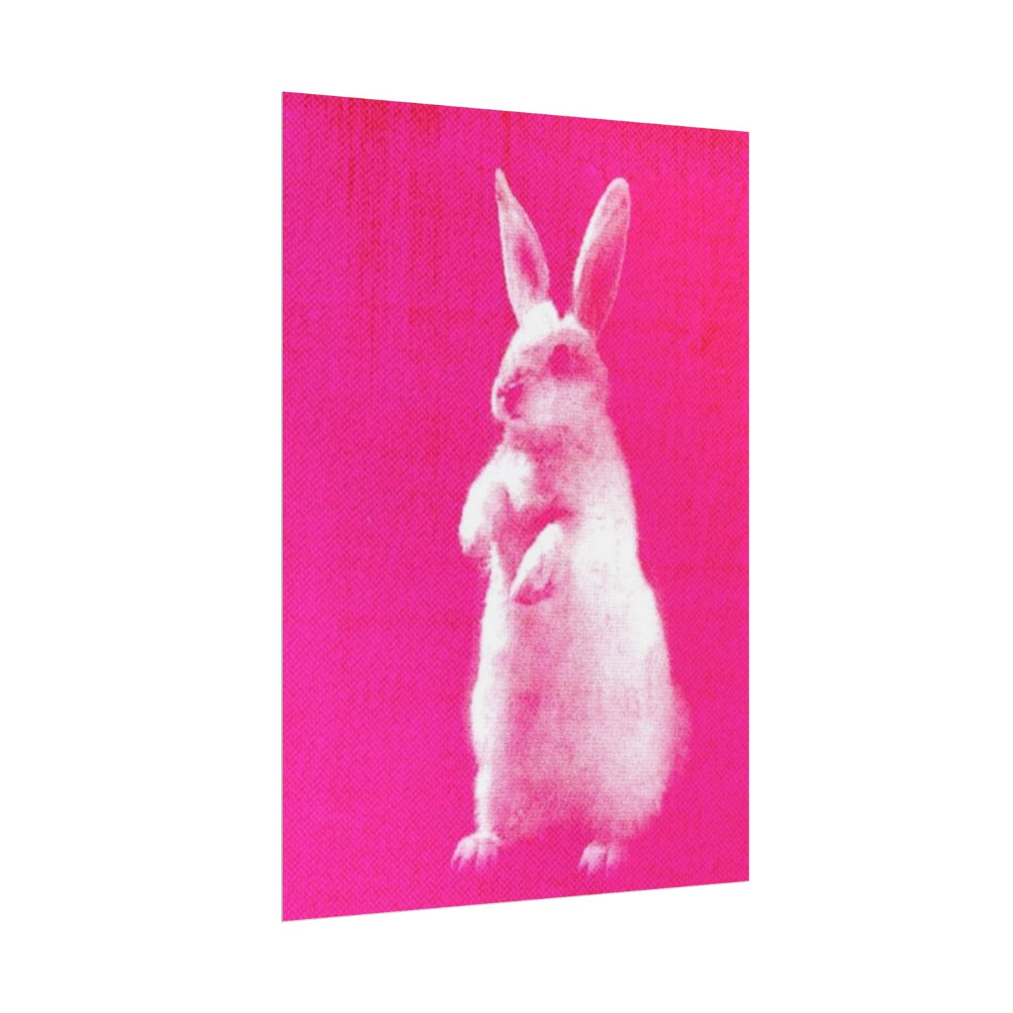 Rabbit - Poster