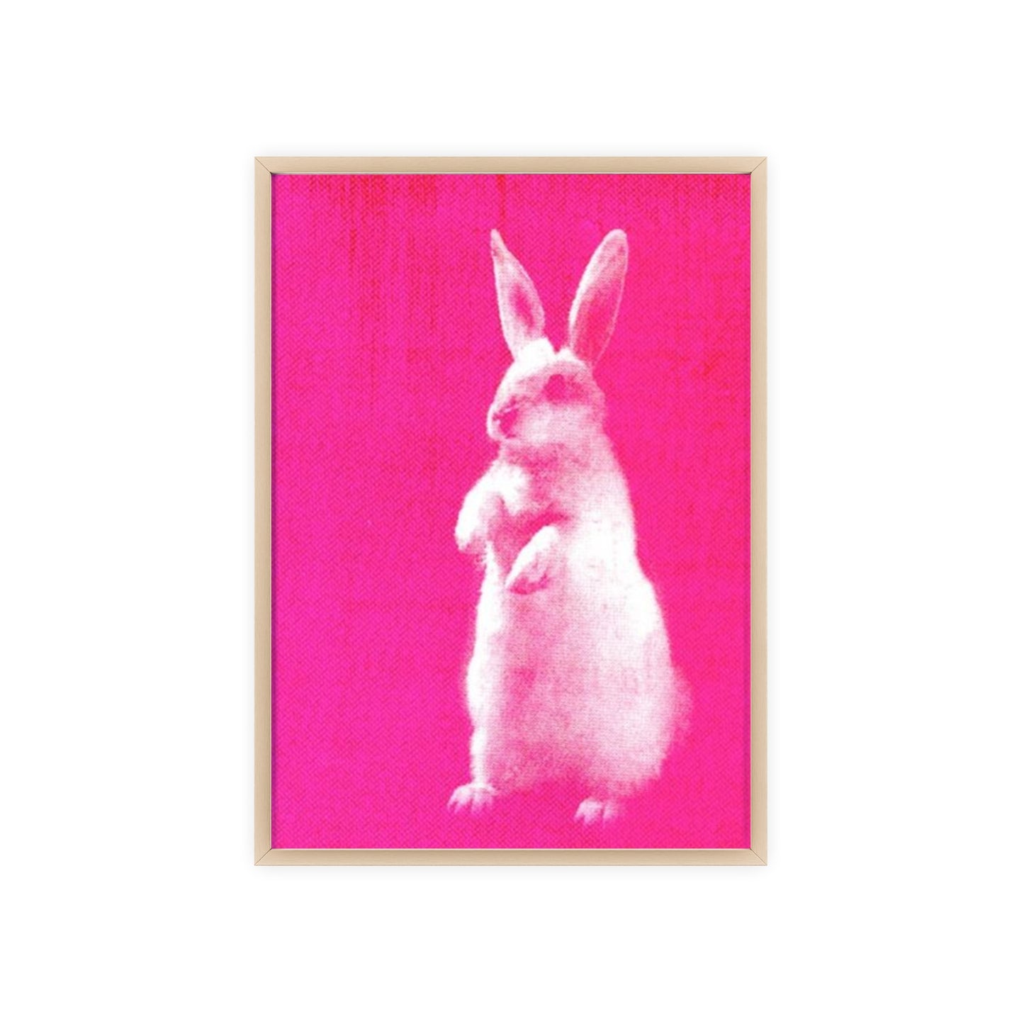 Rabbit - Framed Poster