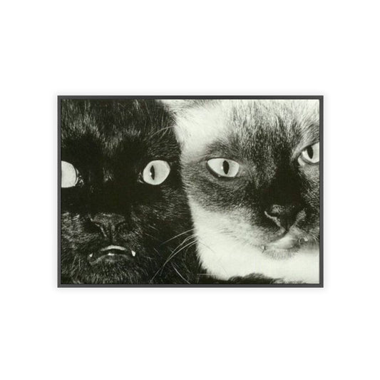 Meow - Framed Poster