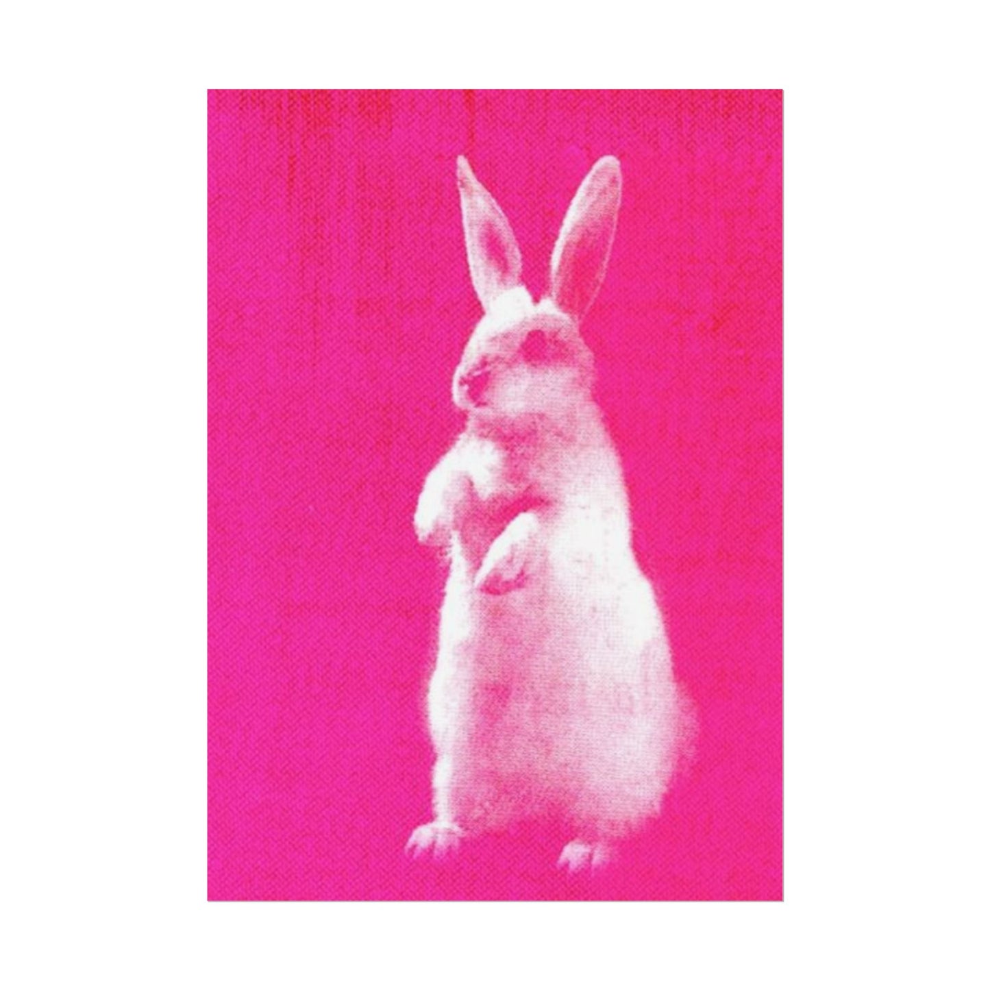 Rabbit - Poster