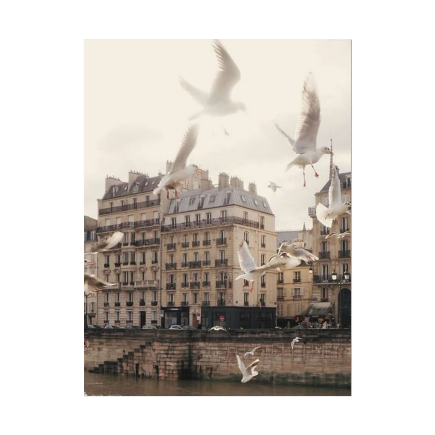 Paris - Poster
