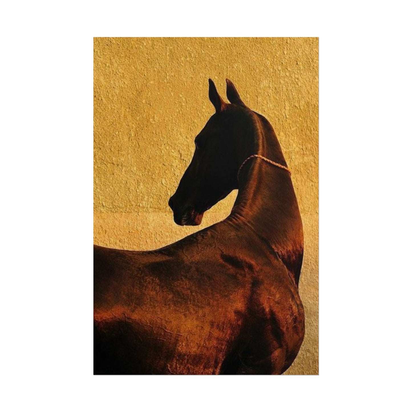 Golden Horse - Poster