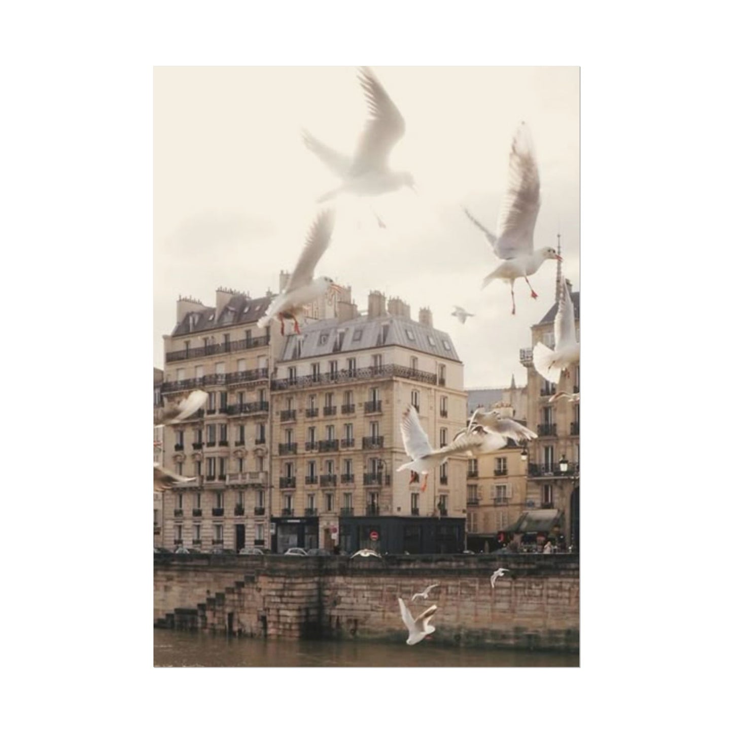 Paris - Poster