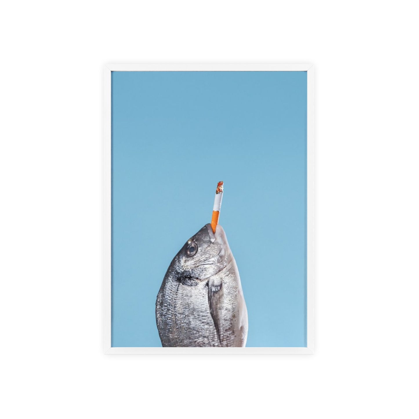 Fish - Framed Poster