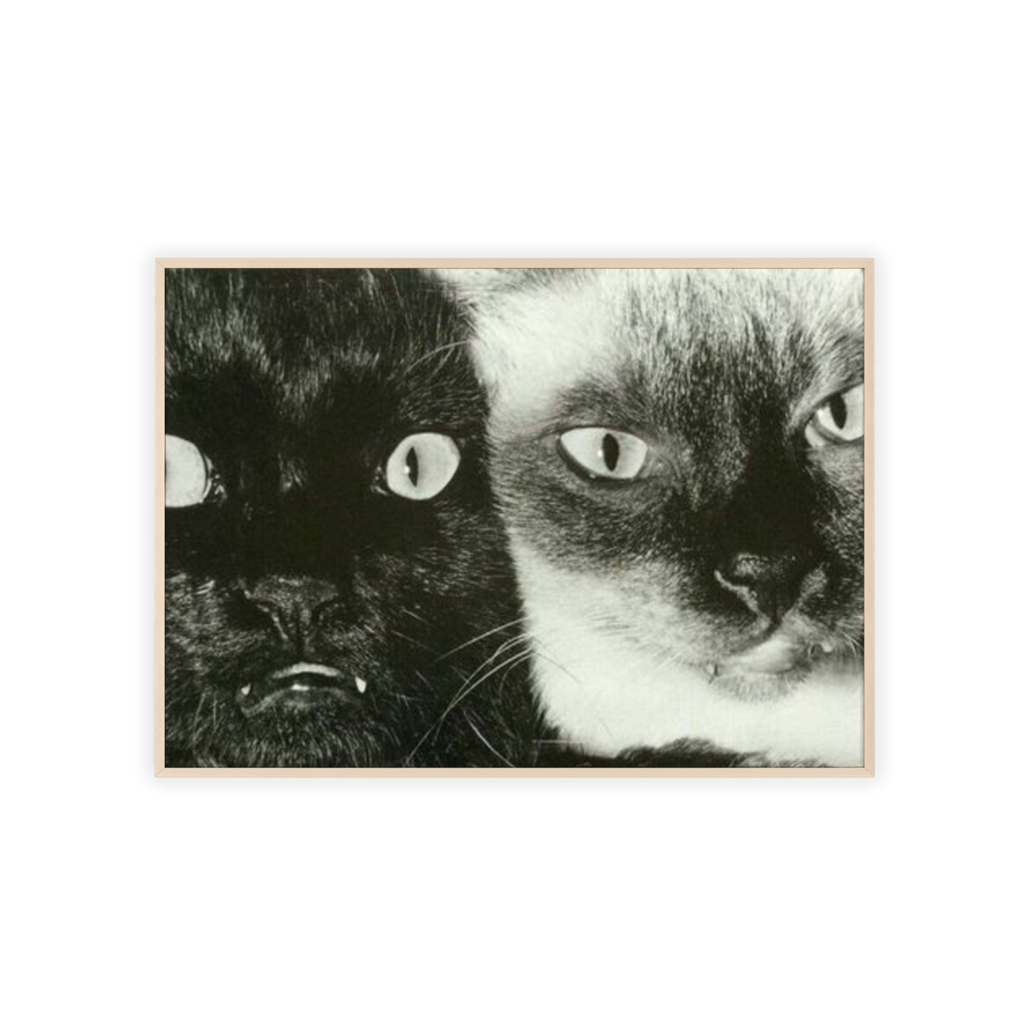 Meow - Framed Poster