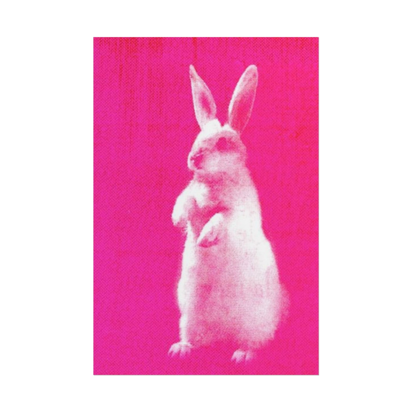 Rabbit - Poster