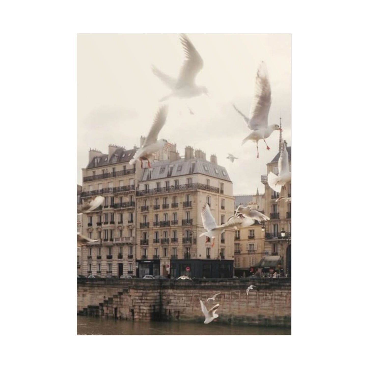 Paris - Poster