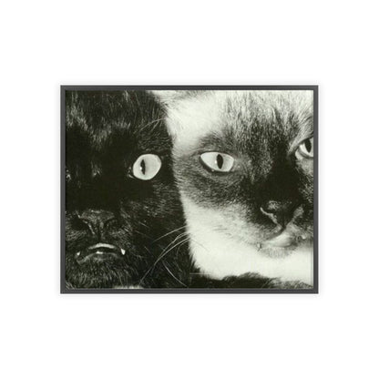 Meow - Framed Poster