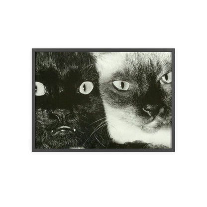 Meow - Framed Poster