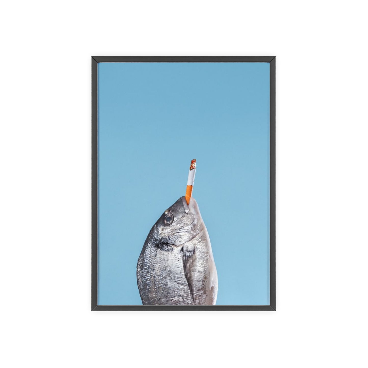 Fish - Framed Poster