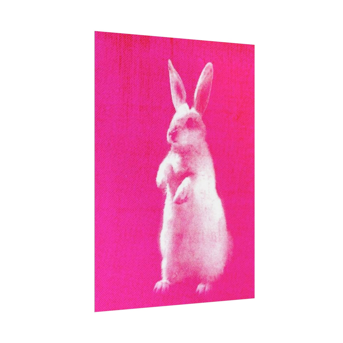 Rabbit - Poster