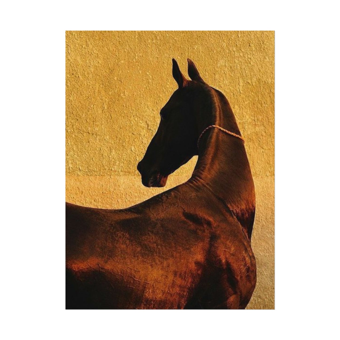 Golden Horse - Poster