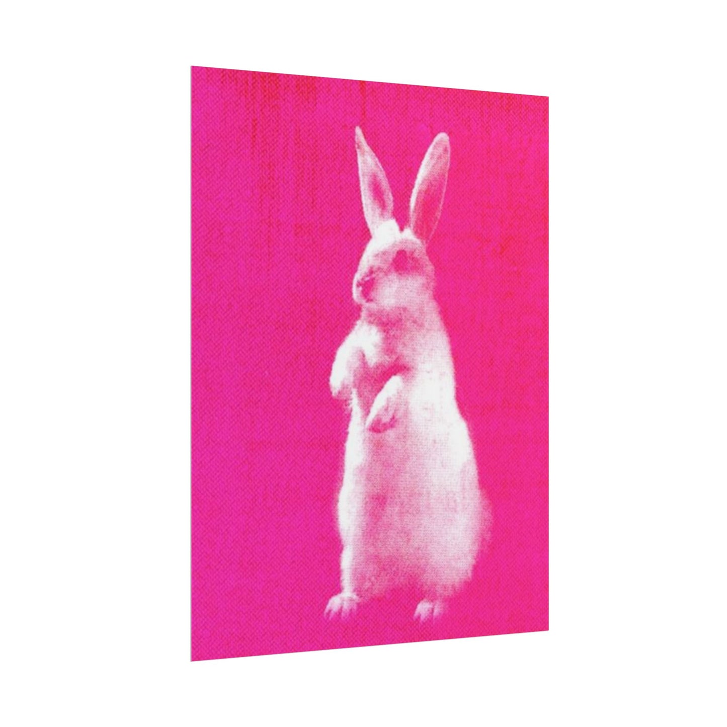 Rabbit - Poster