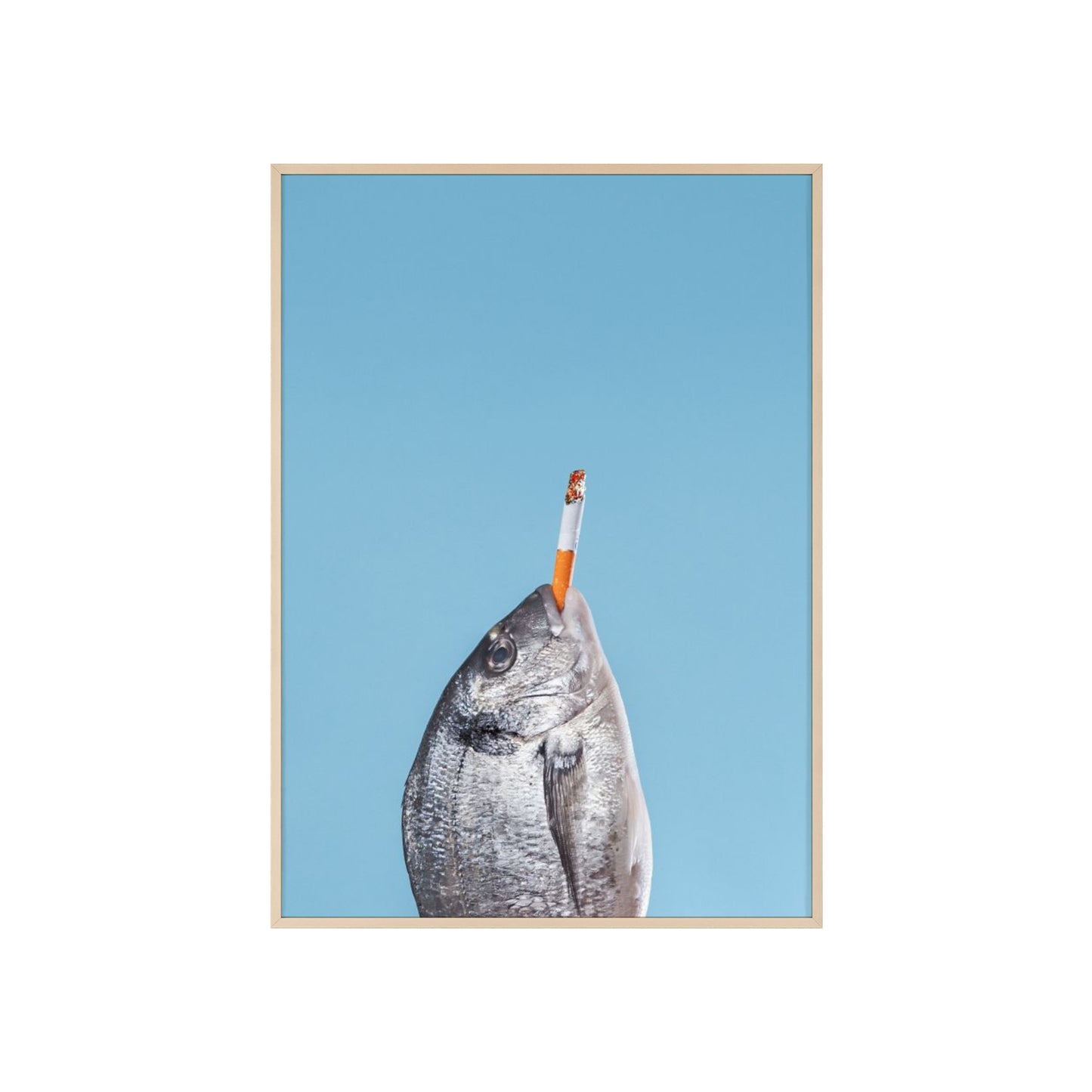 Fish - Framed Poster