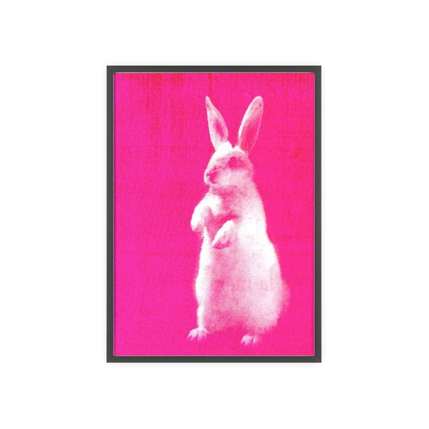 Rabbit - Framed Poster