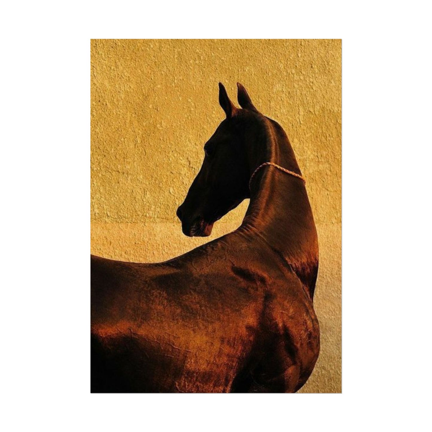 Golden Horse - Poster