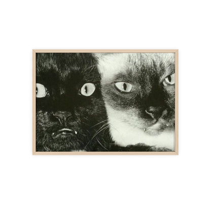 Meow - Framed Poster