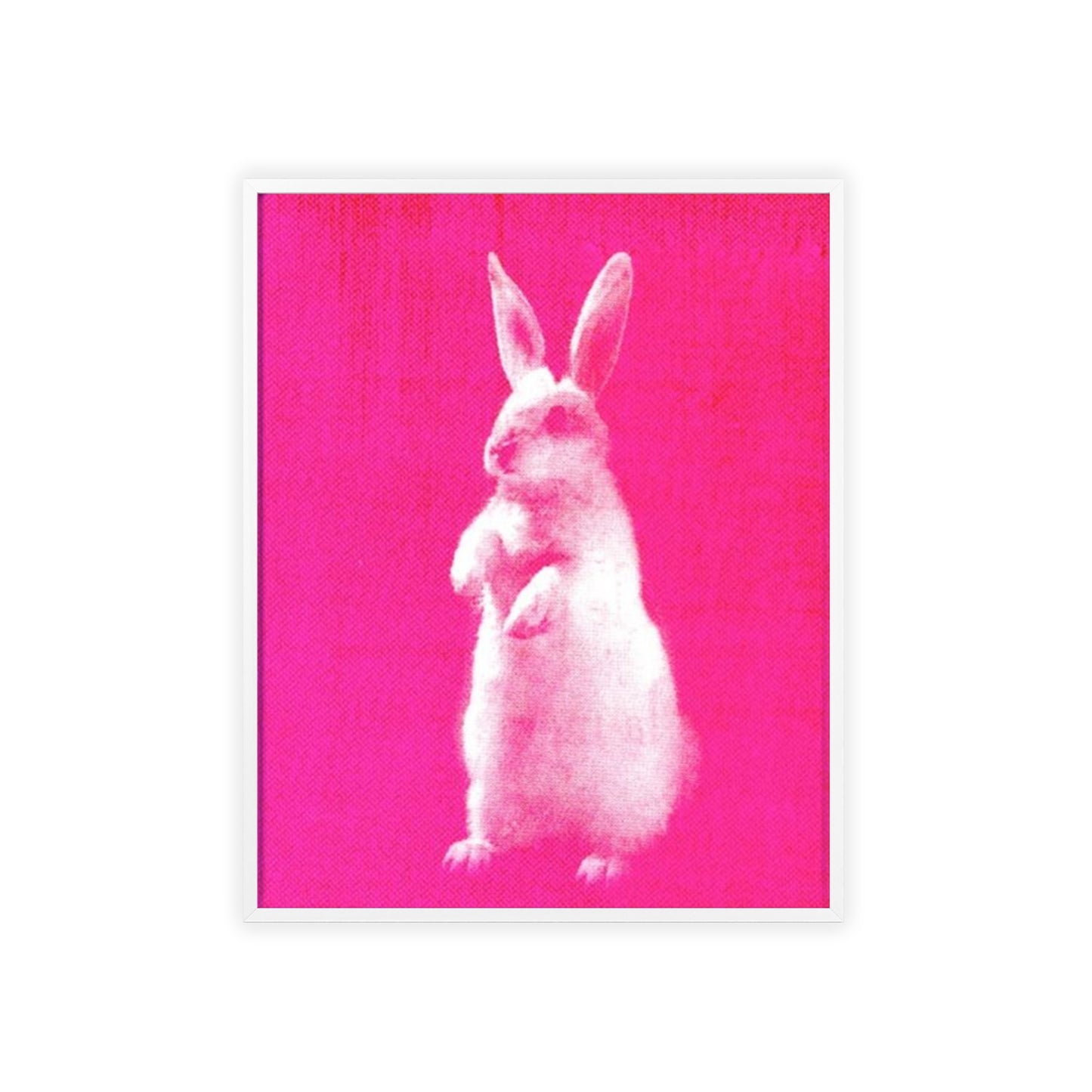 Rabbit - Framed Poster