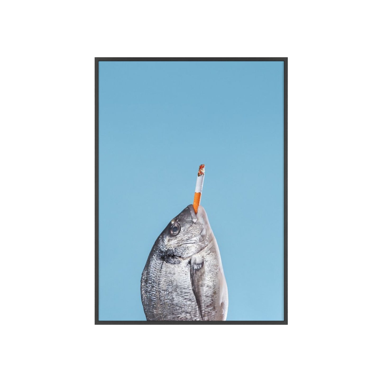 Fish - Framed Poster
