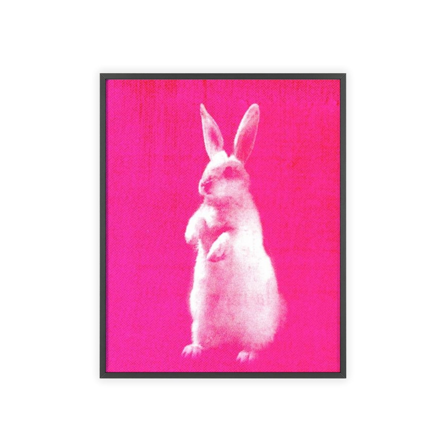 Rabbit - Framed Poster