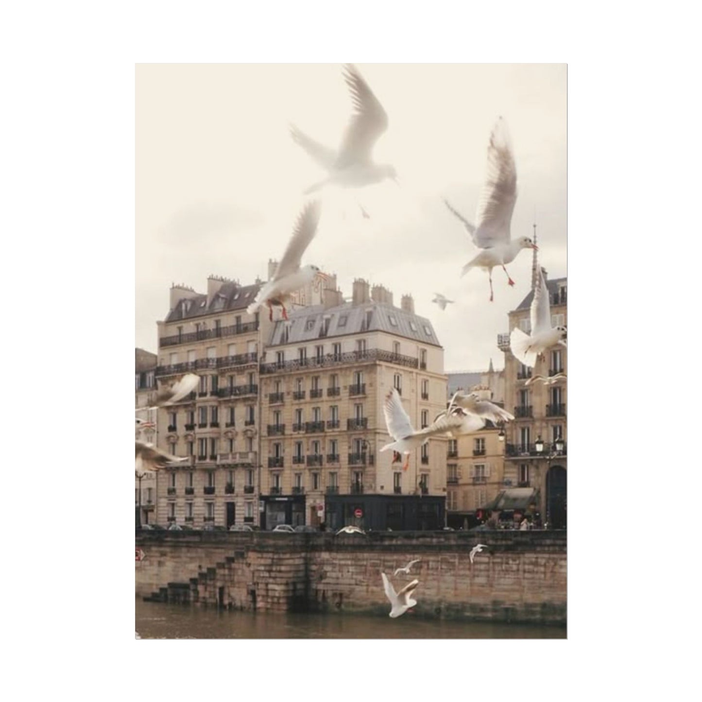 Paris - Poster