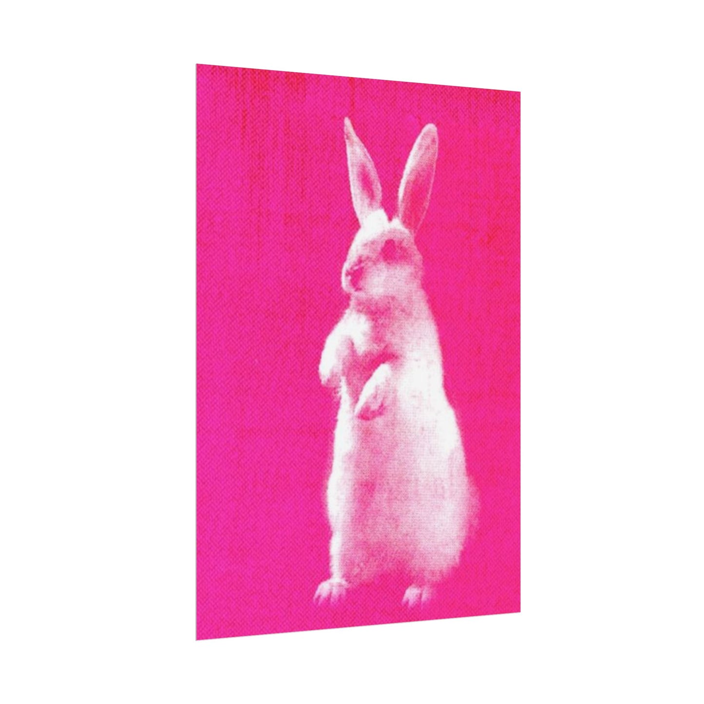 Rabbit - Poster