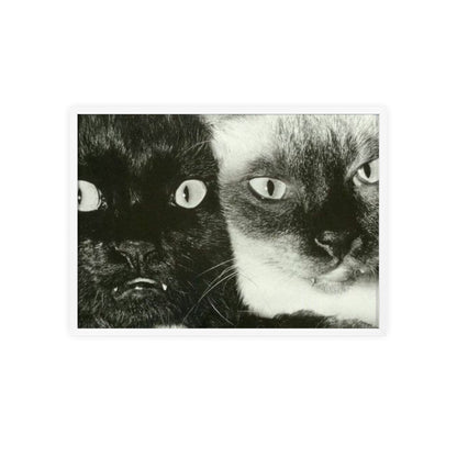 Meow - Framed Poster