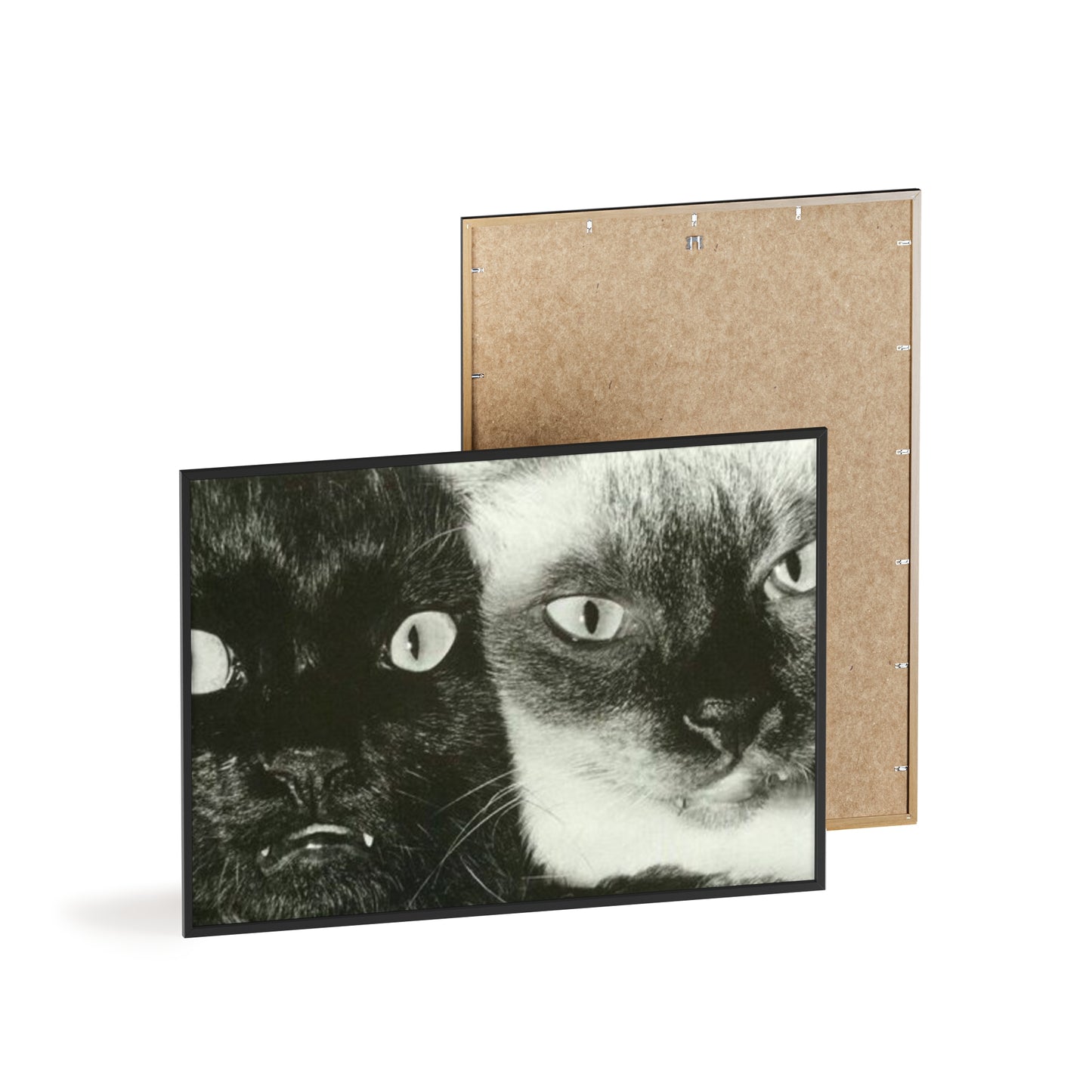 Meow - Framed Poster