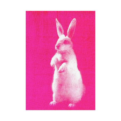 Rabbit - Poster