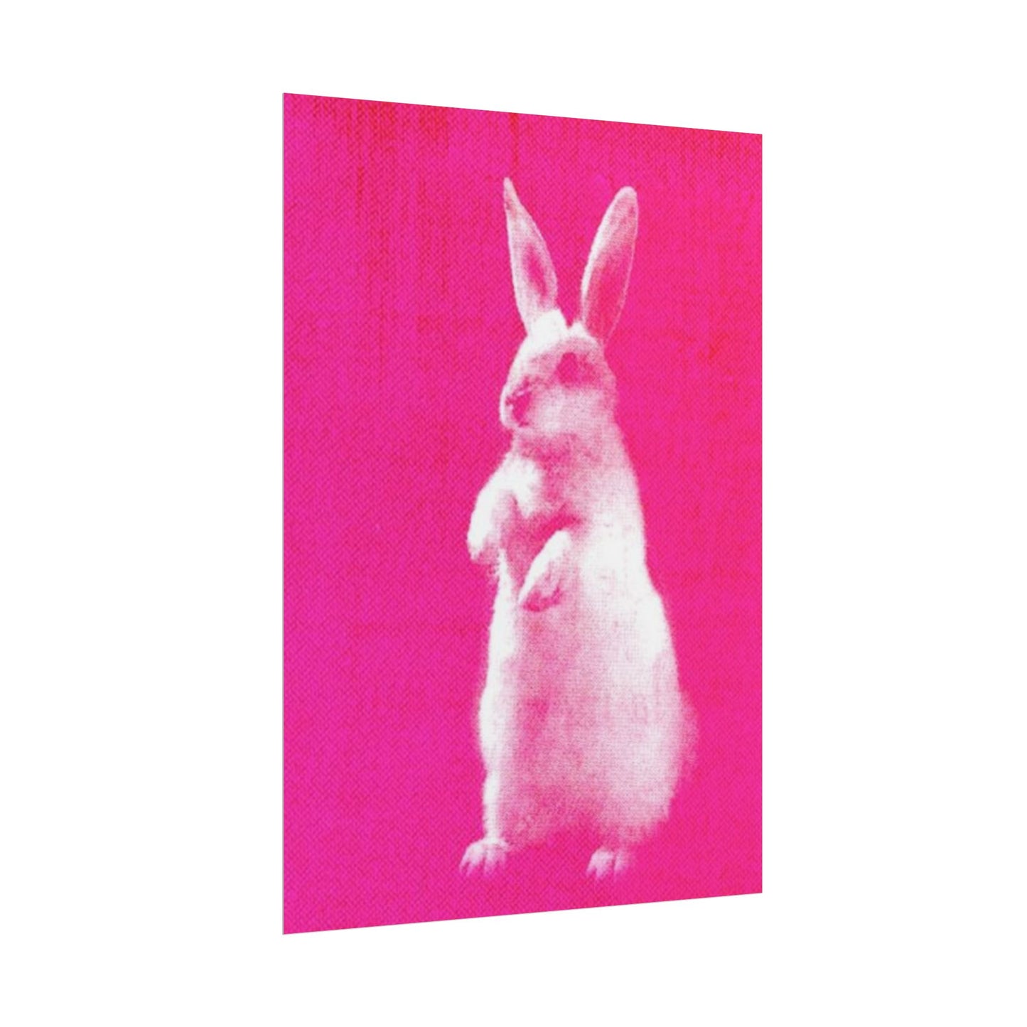 Rabbit - Poster