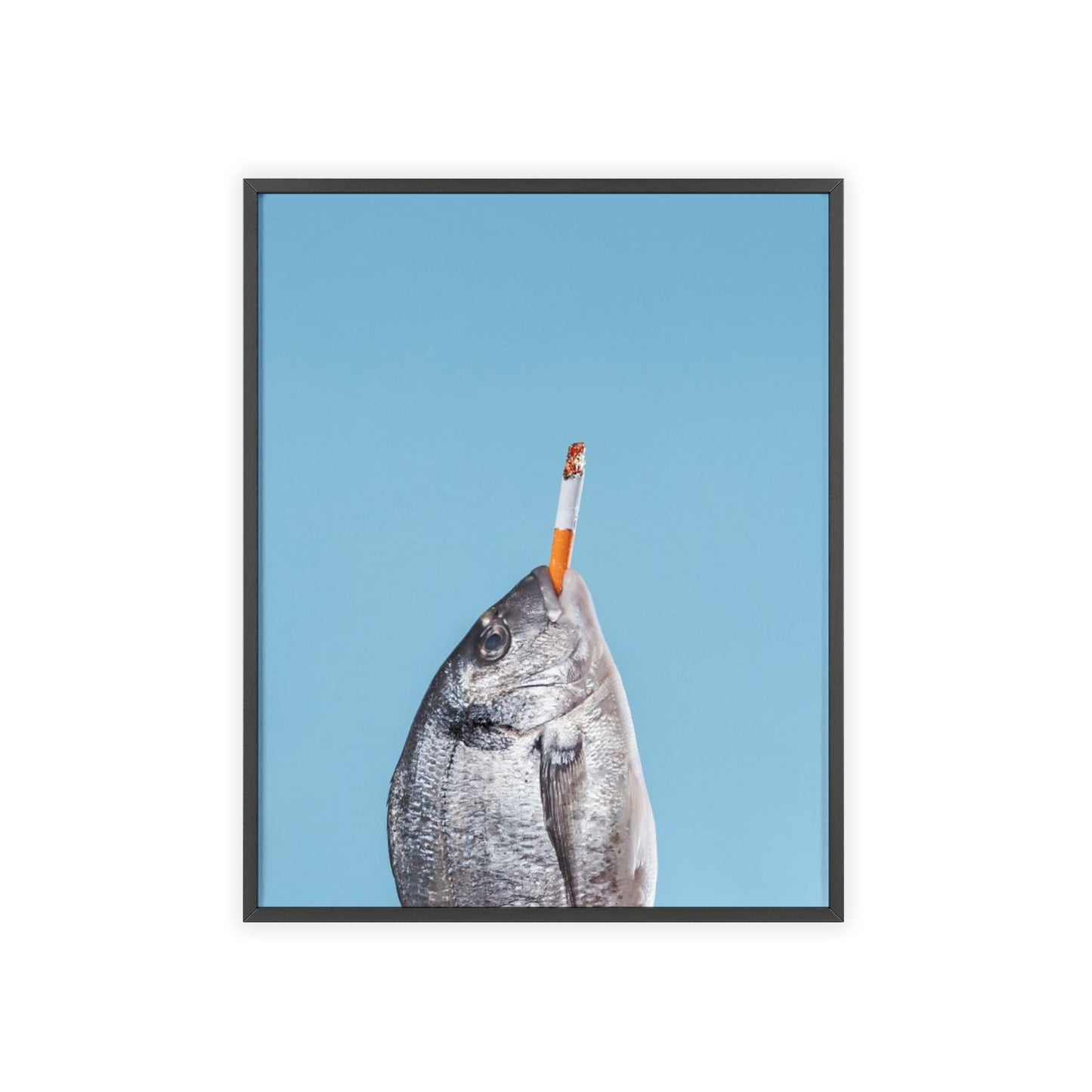 Fish - Framed Poster
