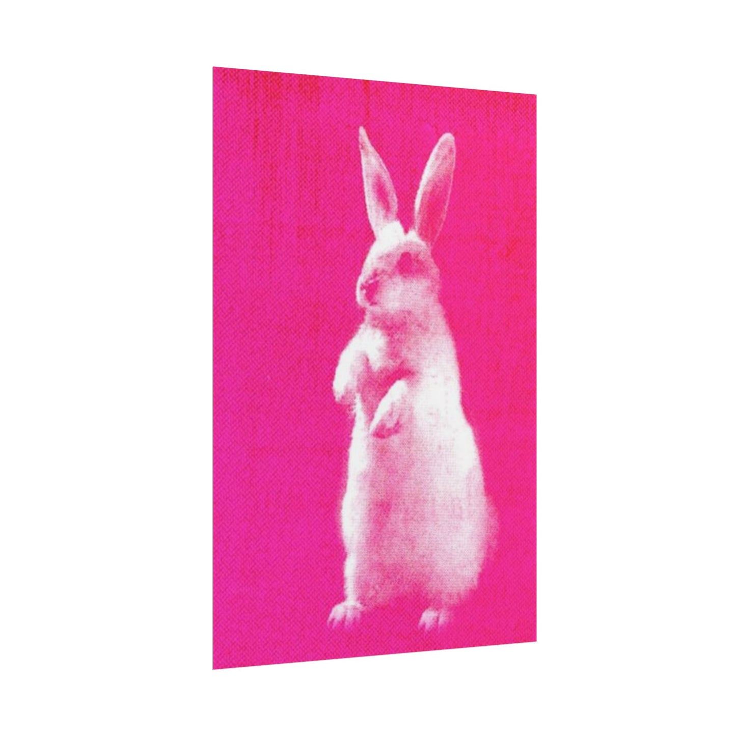 Rabbit - Poster