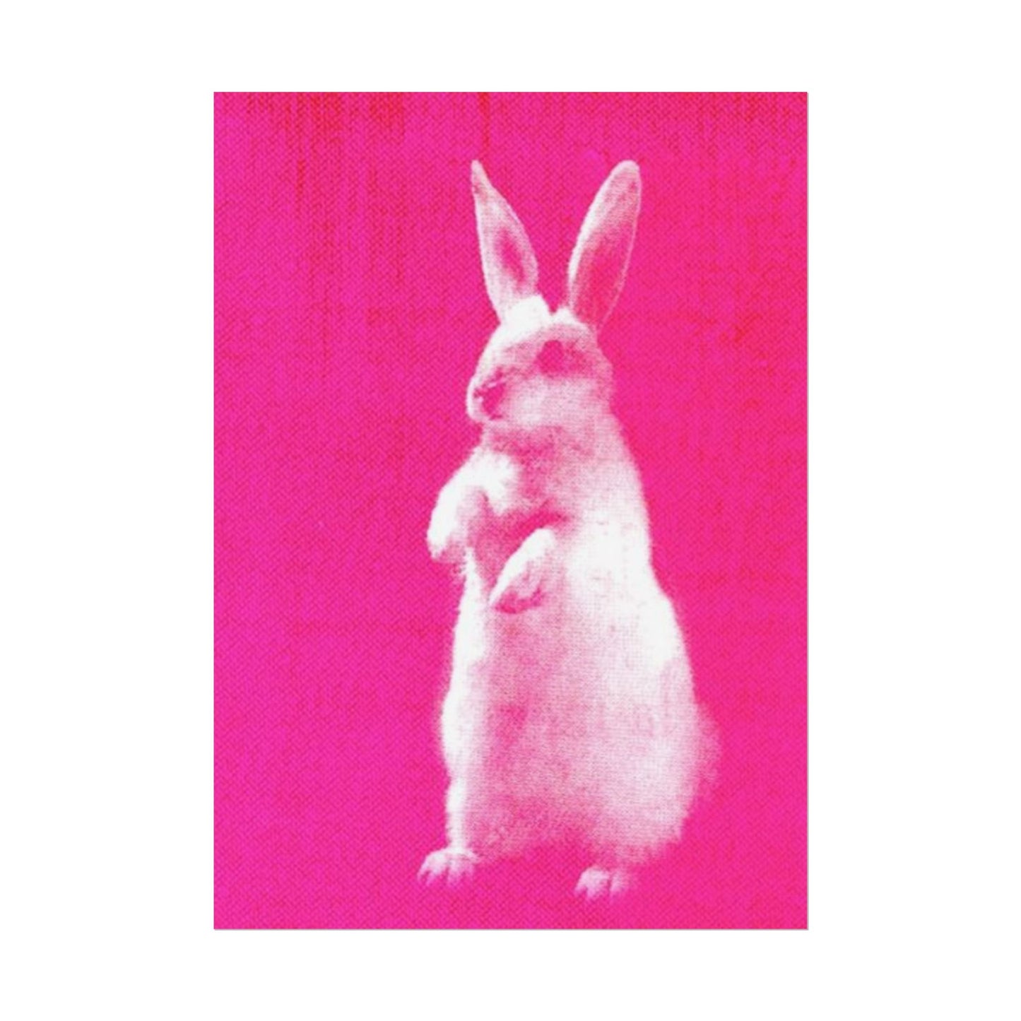 Rabbit - Poster